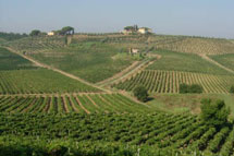 colline di leonardo